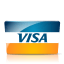 Visa Icon'