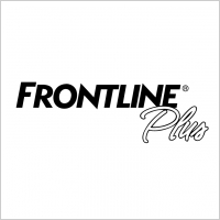 frontline