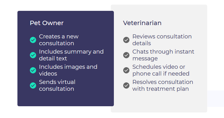 TeleVet Infographic